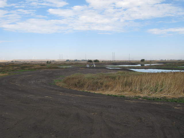 Long view of levee and Mayberry tower site