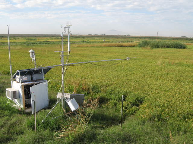 Equipment box and eddy tower at Twithcell rice field