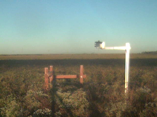 Bridge Shadow.