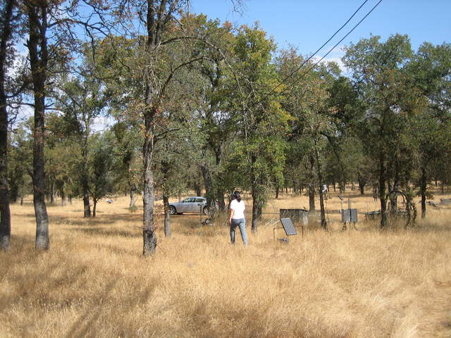 Siyan at Tonzi, brown grass, green trees