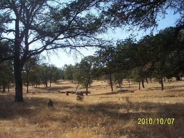 View of the oak savanna with dead grass and cow waterer