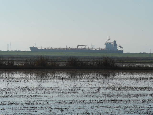 Ship in river across rice paddy