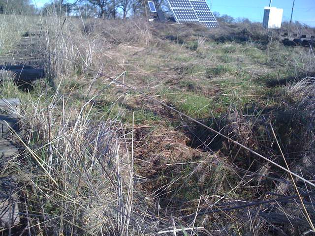 Dead grass inside the cow fence