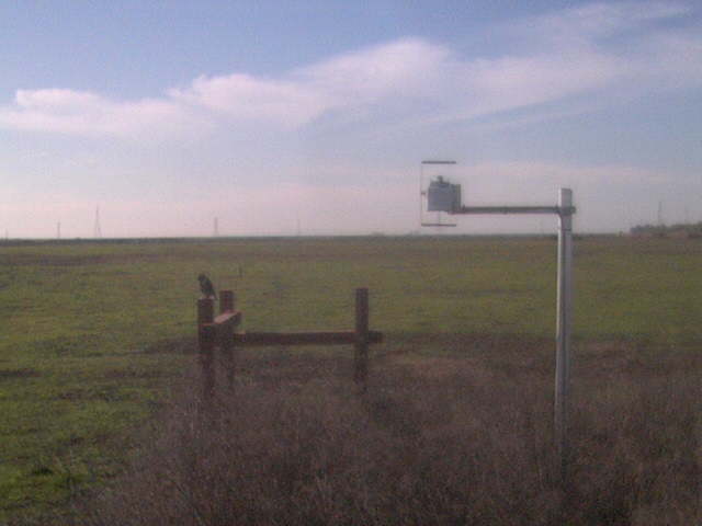 Bird on fence post.