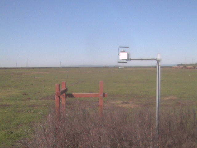 Truck feeding cows in the field