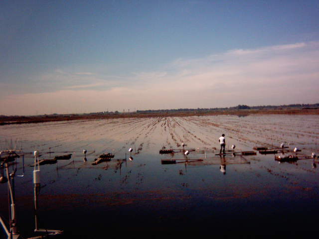 UC Davis fieldwork.