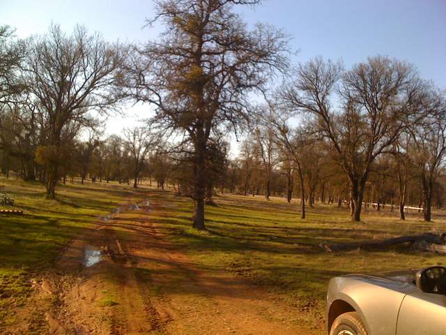Muddy road at the oak savanna