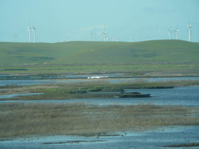 Green hills and wind turbines overlooking the wetland