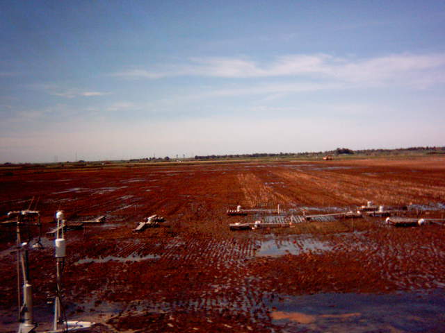 Chamber measurement boardwalks on the rice field