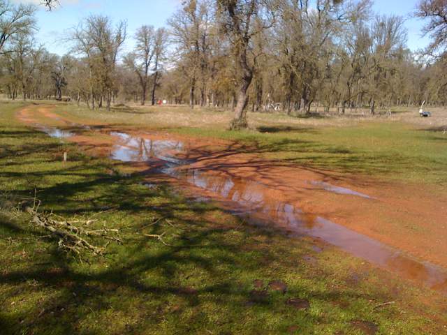 Large puddles in the dirt road at Tonzi