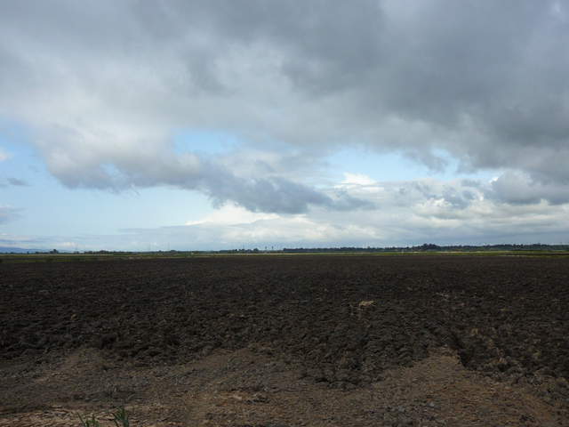  Plowed Field