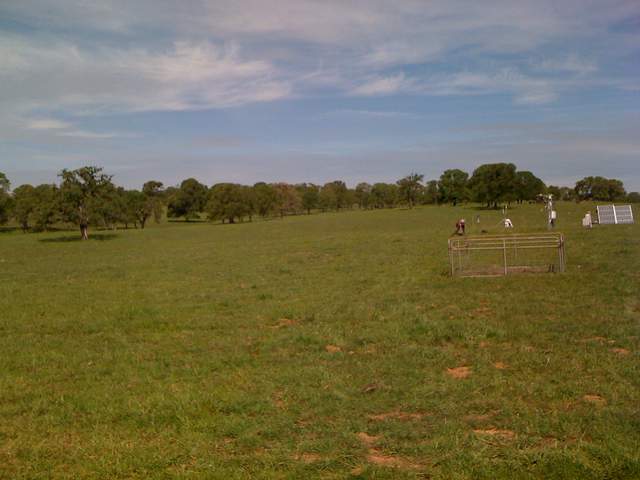 Green pasture at Vaira