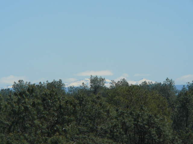  Sierra Snow
