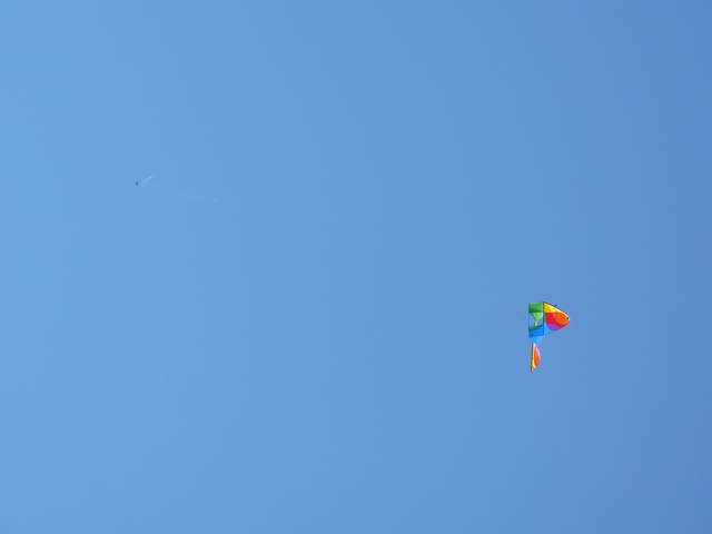 A kite, kite, high up in the sky.