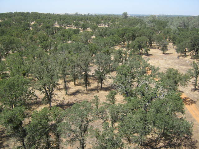  Site From Tower