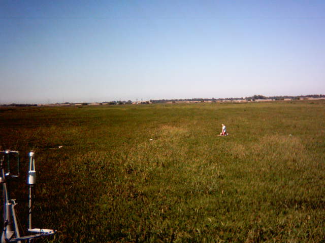 UC Davis in the field.