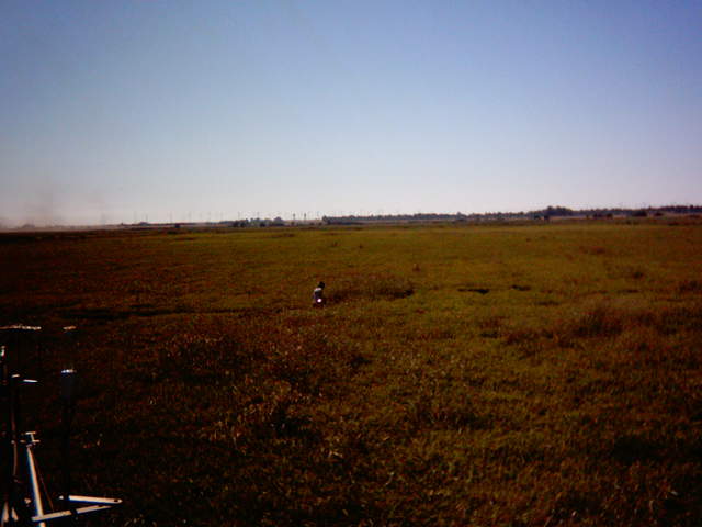 UC Davis in the field.