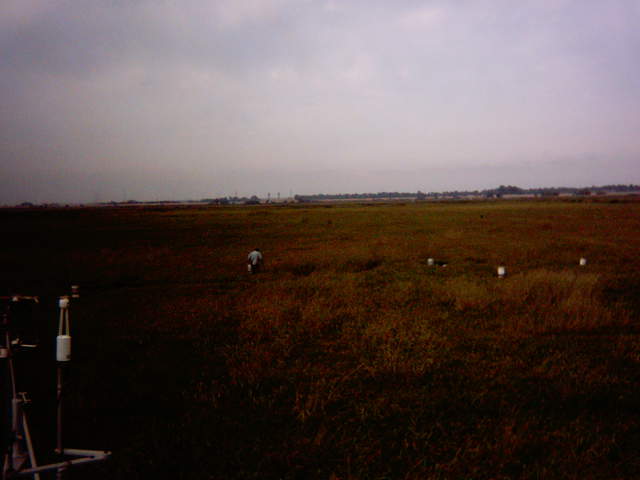 UC Davis in the field.