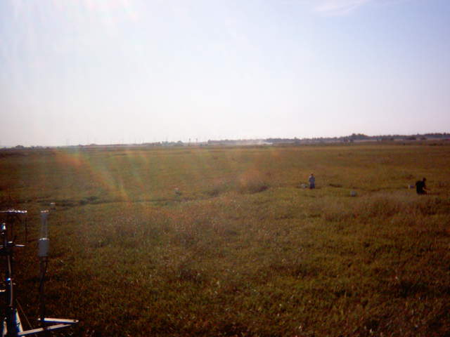 UC Davis in the field.