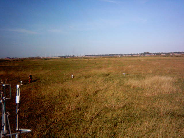 UC Davis in the field.