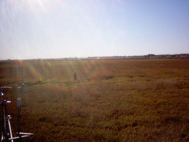 UC Davis in the field.