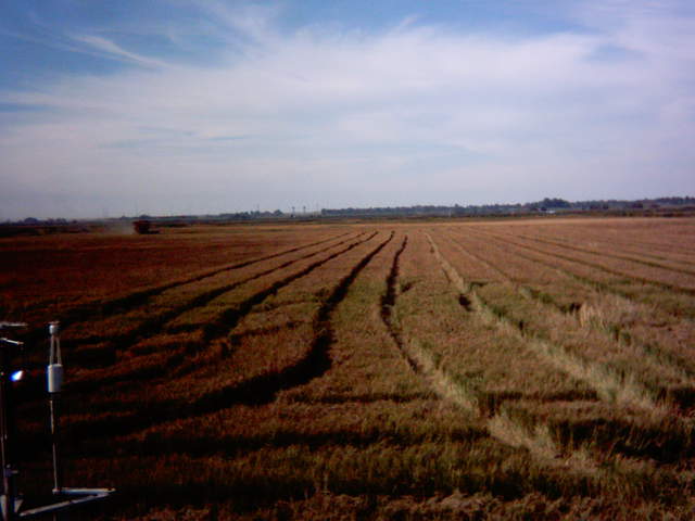 Harvest.