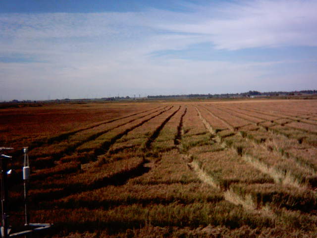 Harvest.