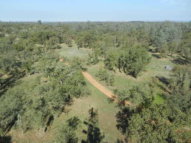 View of floor from tower.