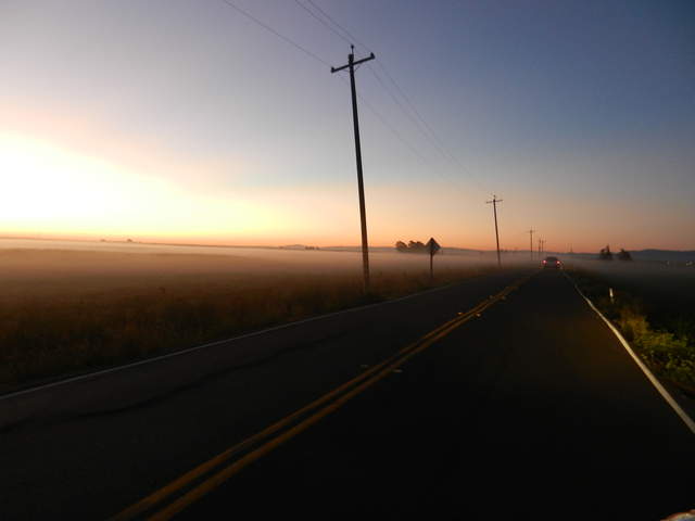  Dawn Tule Fog 2