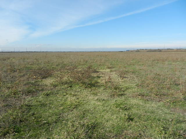  Field
