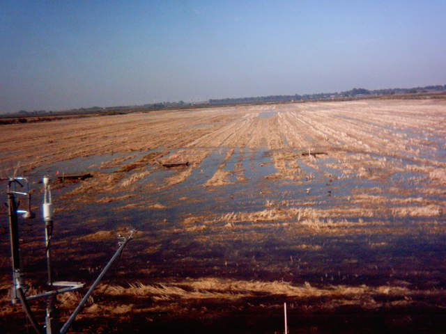 Field flooding 8