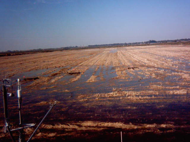 Field flooding 10