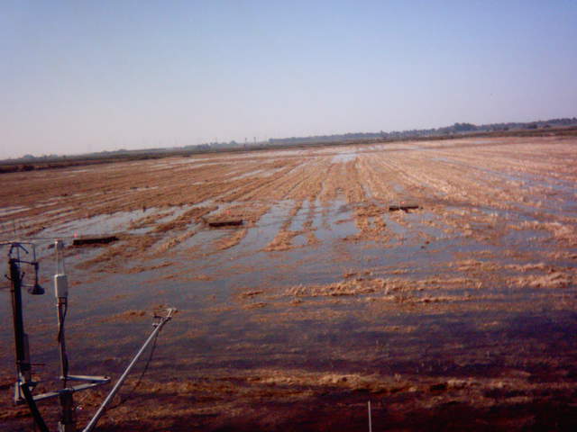 Field flooding 13