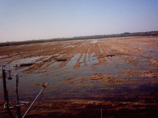 Field flooding 14