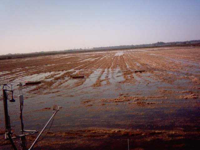 Field flooding 15