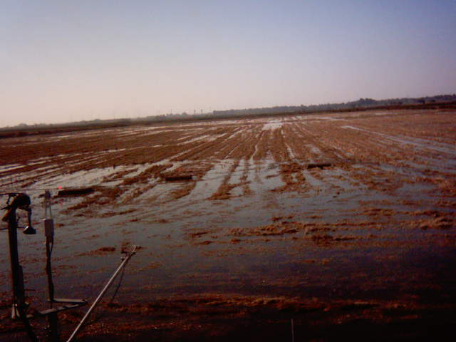 Field flooding 16