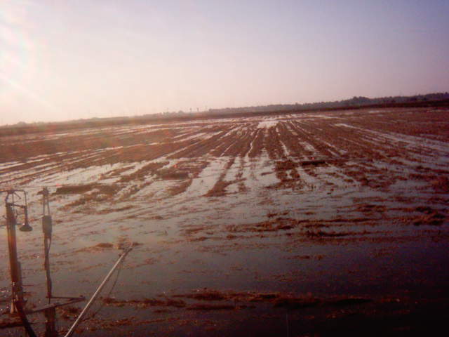 Field flooding 18