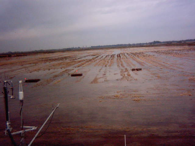Field flooding 22