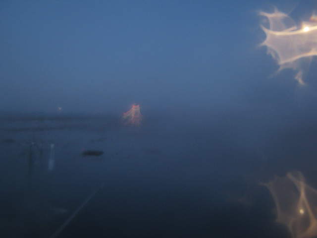 X-mas tree, moon and moons reflection in condensation on camera window.