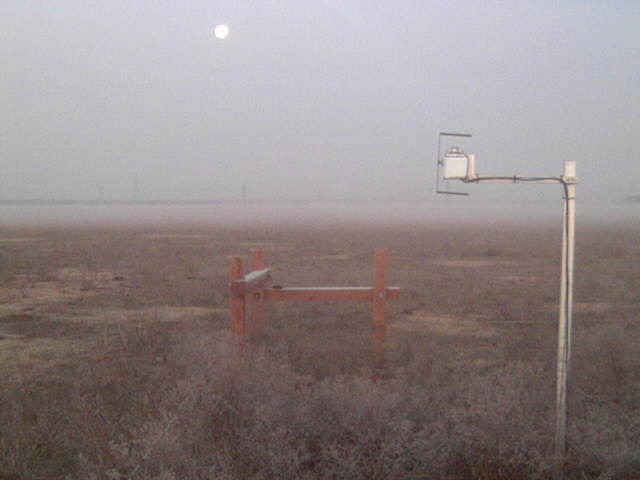 Moon and tule fog