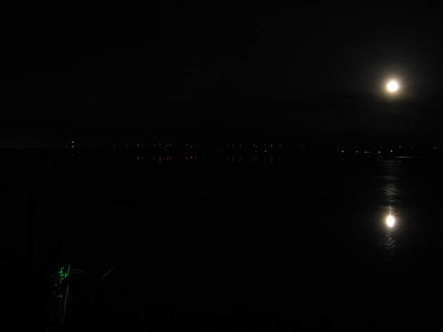 Predawn full moon reflected in rice paddy