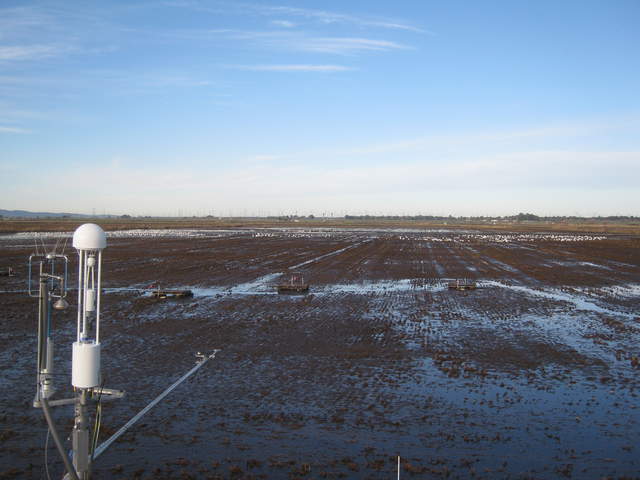 Rice paddy being flooded