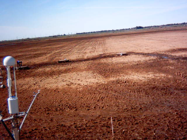 view of field site