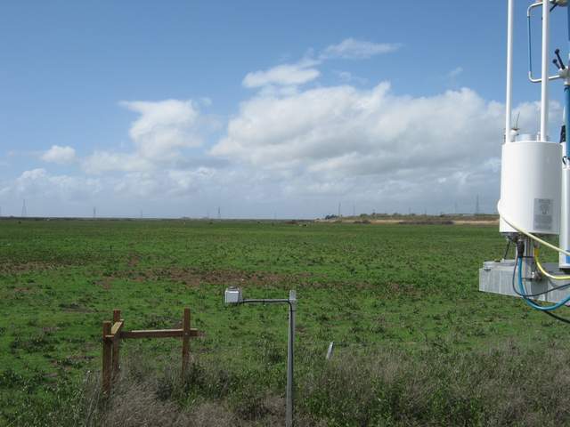 Phenocam view of the cow pasture