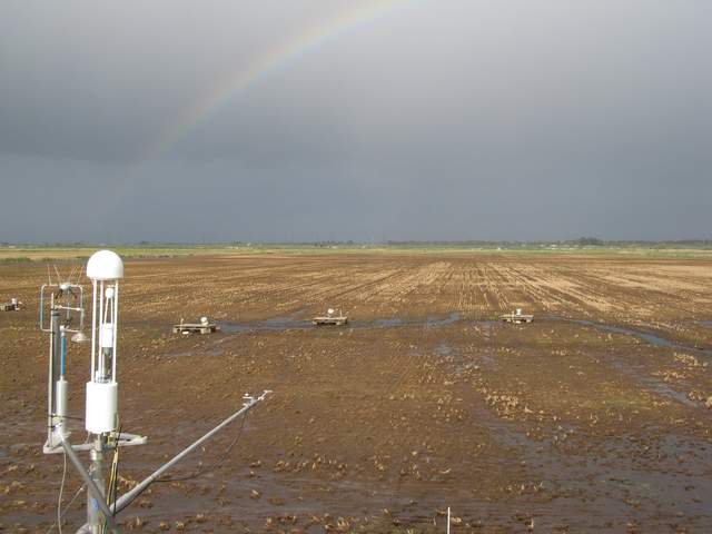 Rainbow over fallow rice paddy