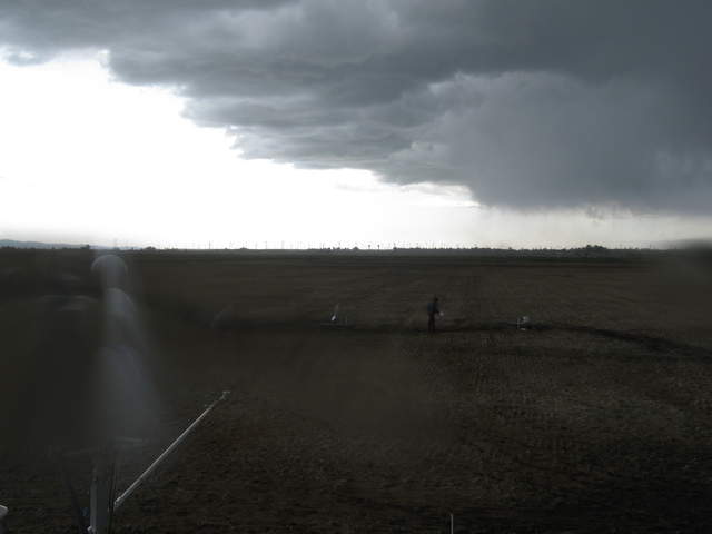 UC Davis on site and rain