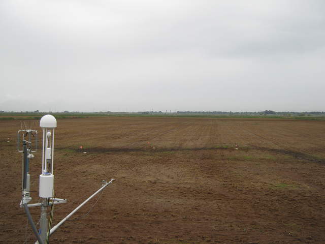 Soil flux collars installed on fallow rice field