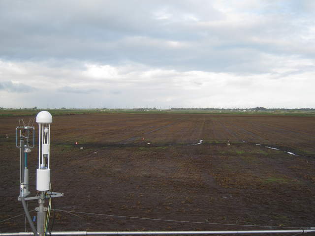 Soil flux collars installed on fallow rice field