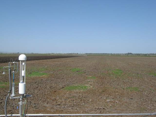 Plowing the field