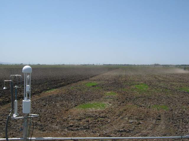 Plowing the field